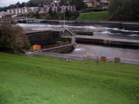 Ballard Locks 01