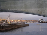 Ballard Locks 05