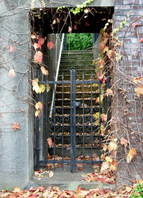 Mt Baker  Seattle  12