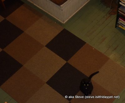 OpheliaBooks BlackCat