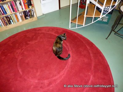 OpheliaBooks CalicoCat 01c